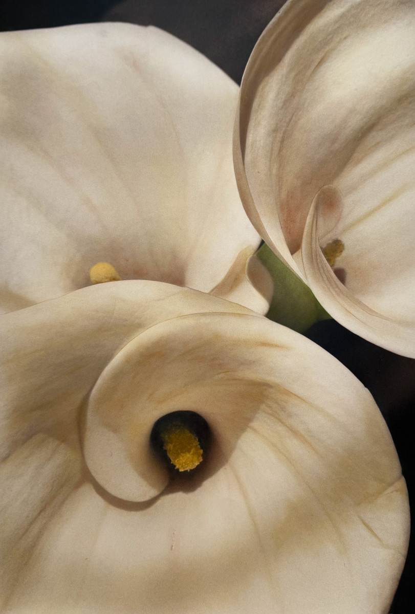 Callas II