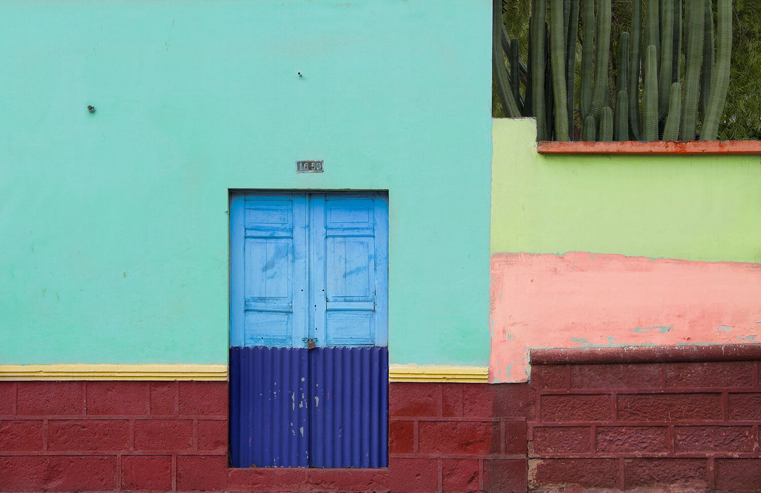 Cactus Garden, Ambato, Ecuador 2019